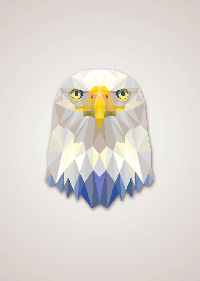 Eagle Low Poly