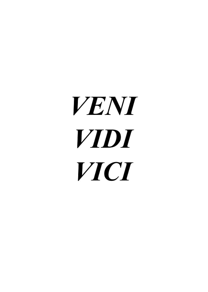 veni vidi vici