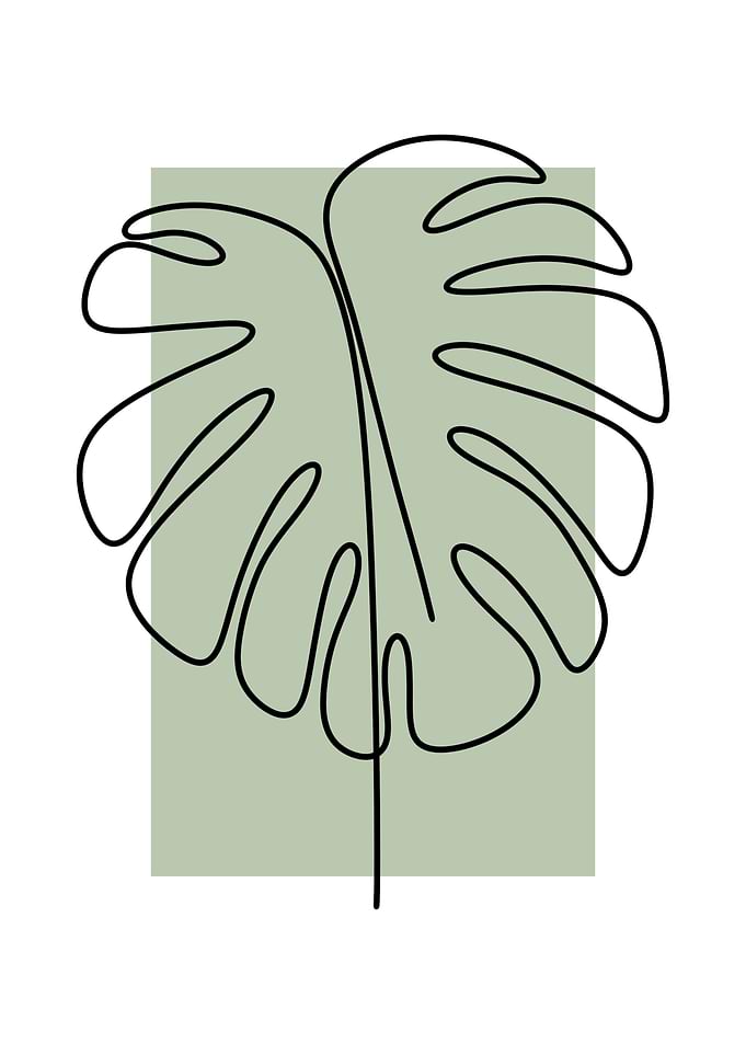 Monstera Leaf Minimalist 3