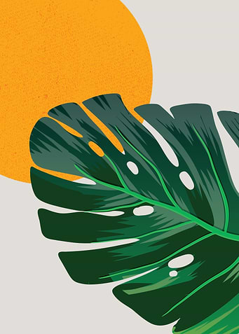 Bohomin Abstract 2