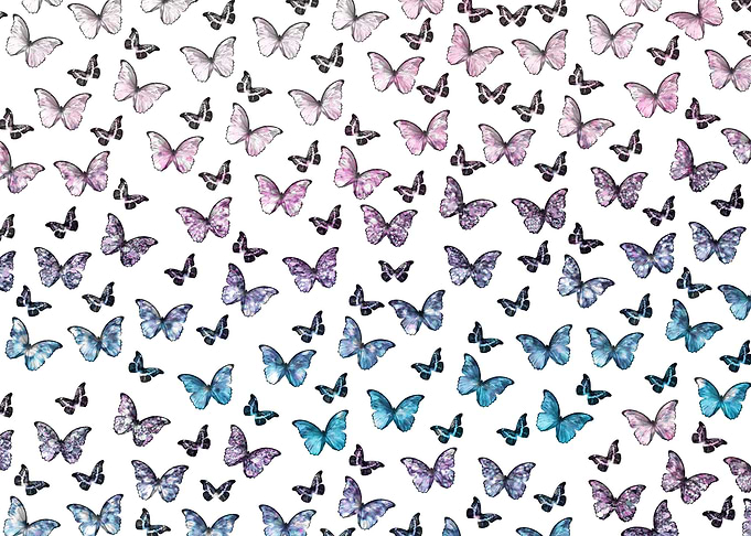 Iridescent Butterfly 2