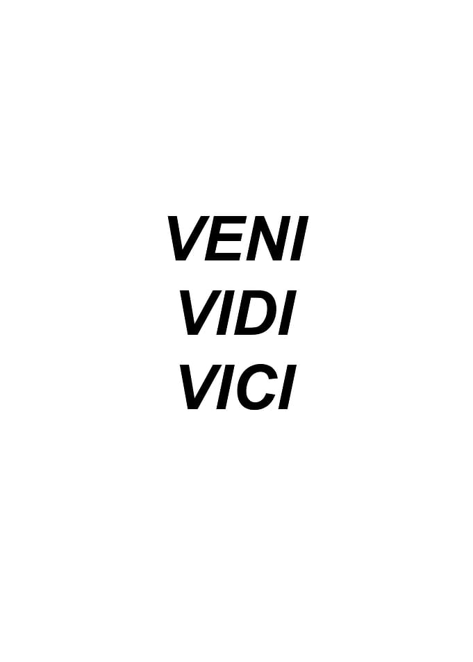 veni vidi vici