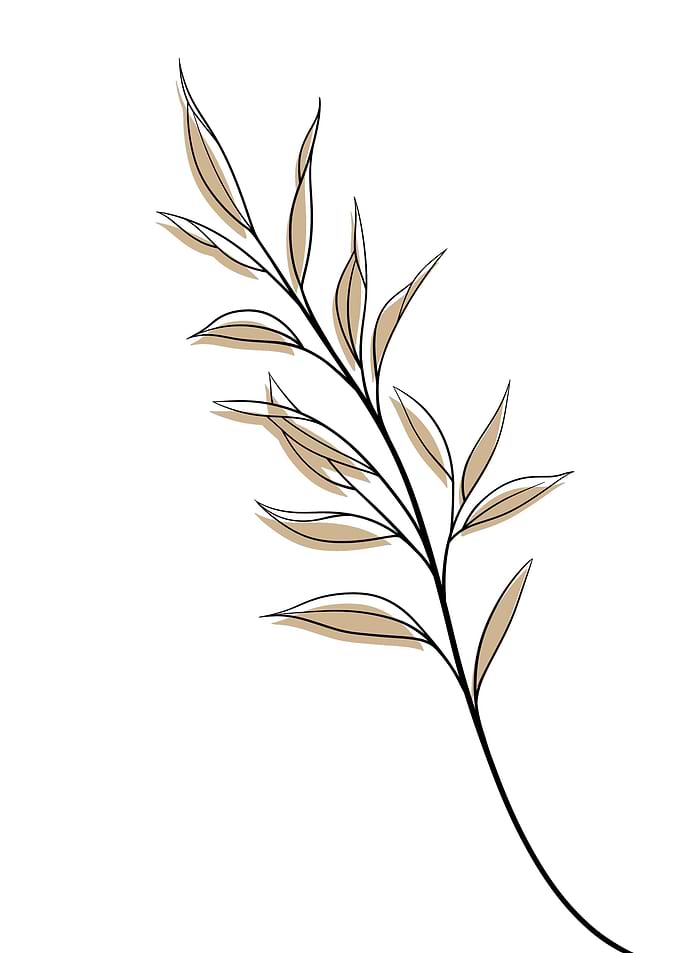 Danae racemosa Minimalist