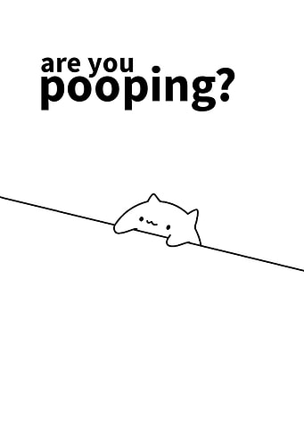 cat funny