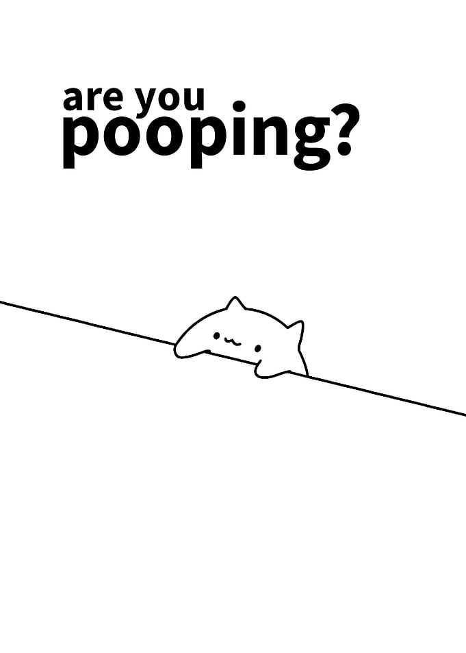cat funny