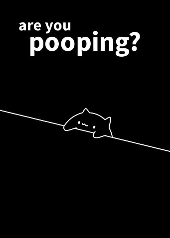 cat funny