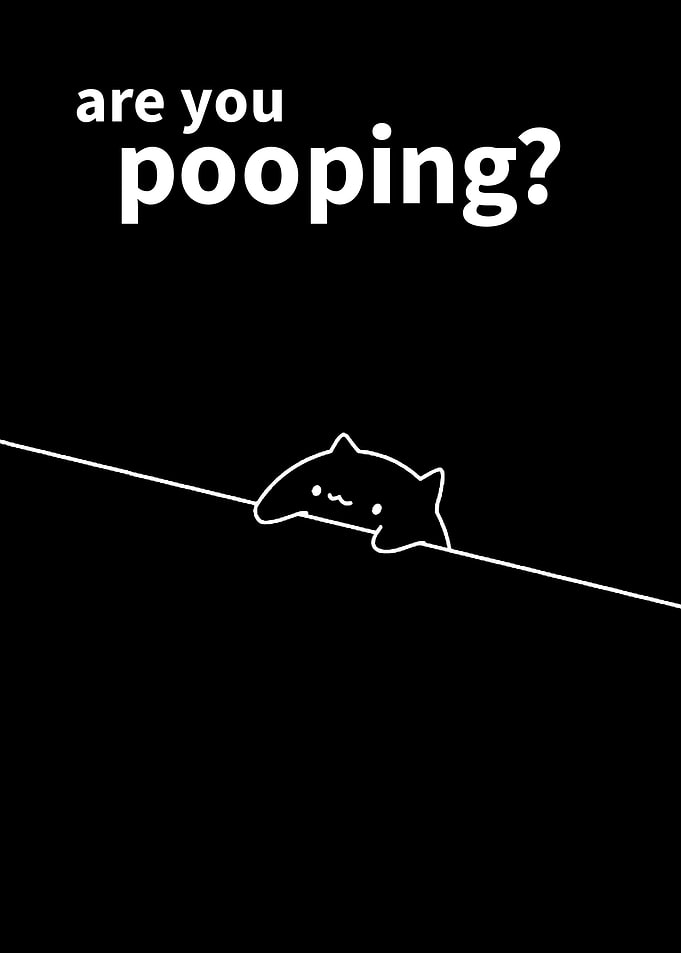cat funny