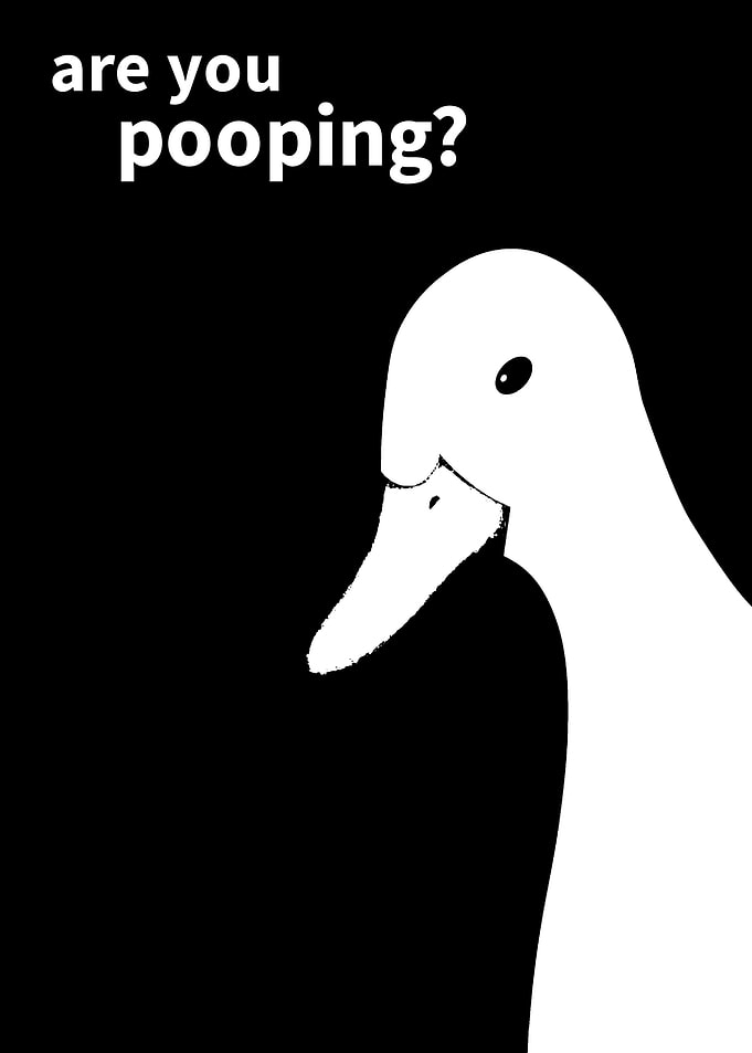 duck funny