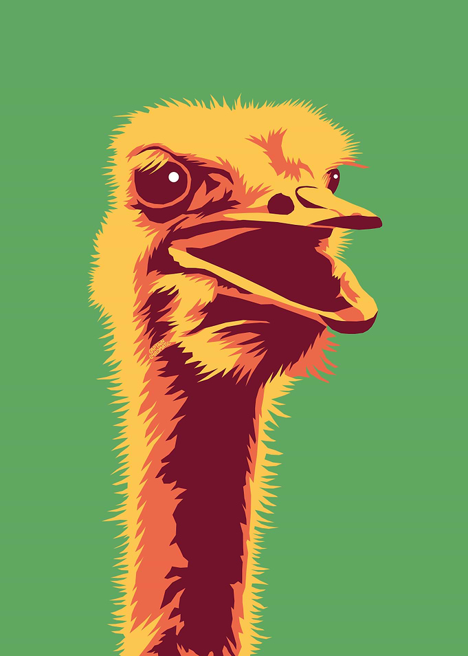 Screaming ostrich