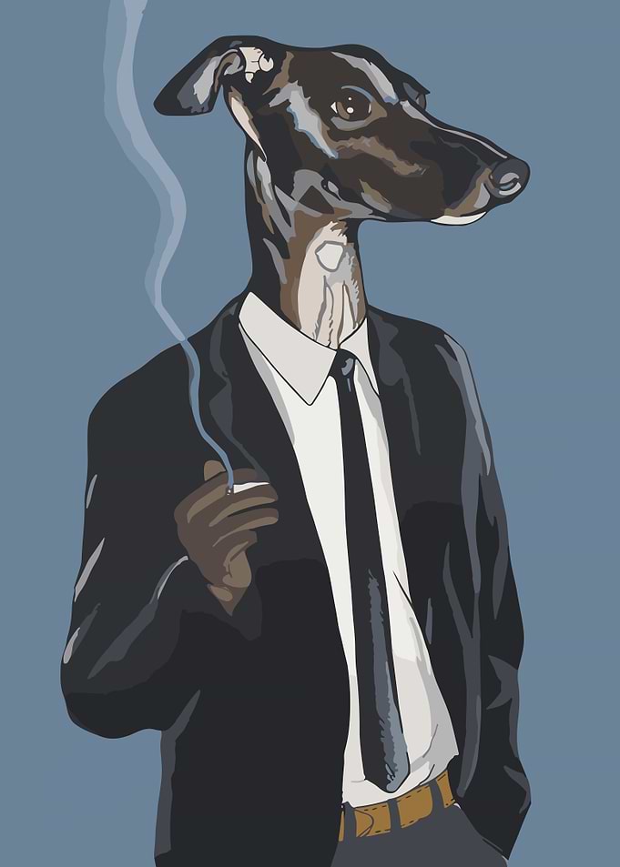 Dog in suit