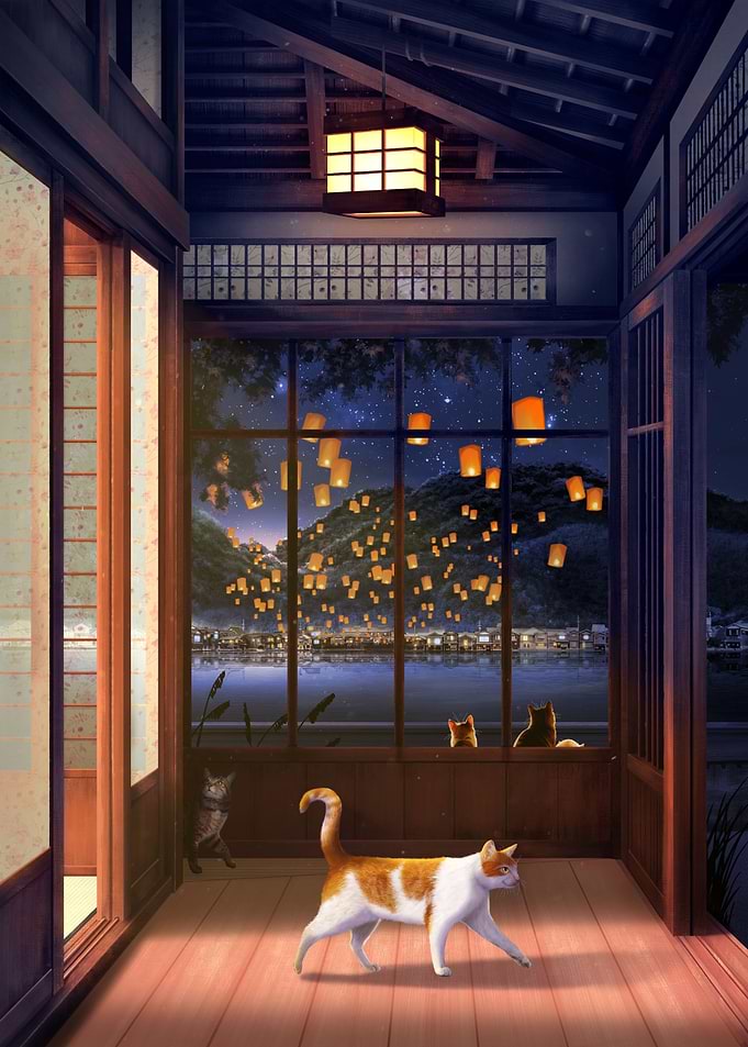 Evening Cat