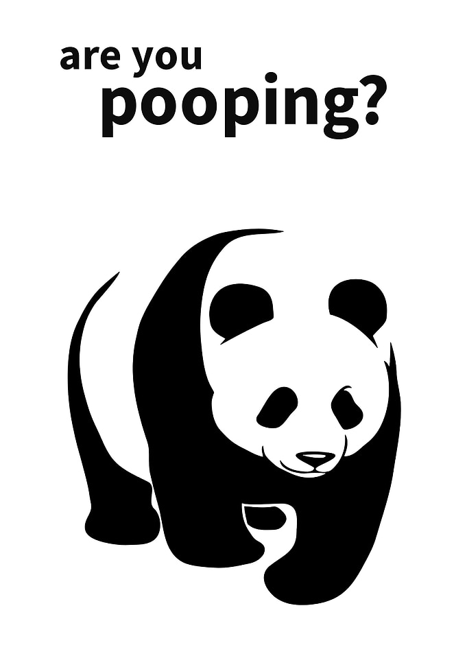 panda cute