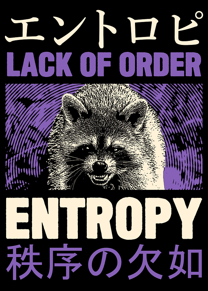 Entropy Raccoon