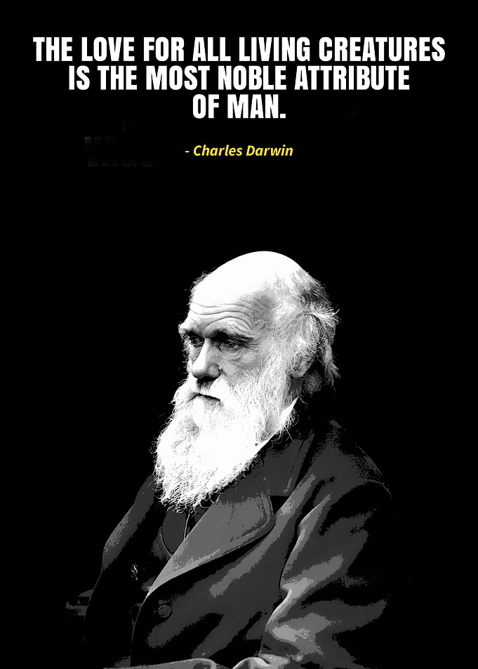 Charles Darwin quotes