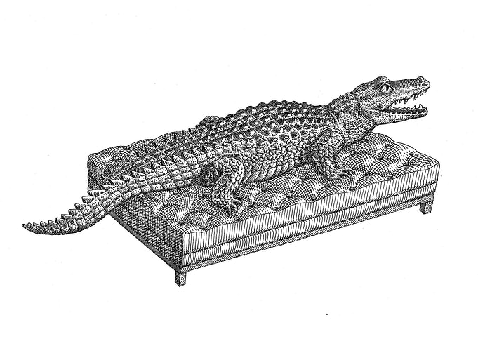 Crocodile