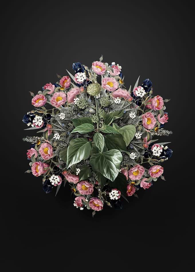 Common Ivy Flower Wreath