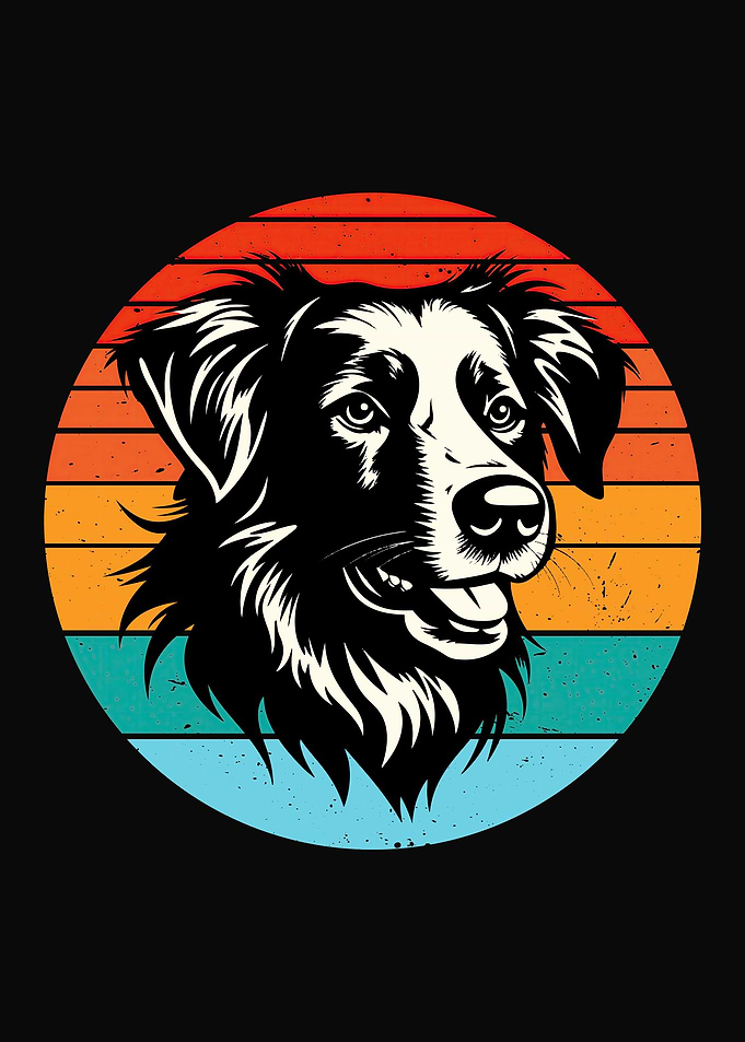 Animal Dog funny