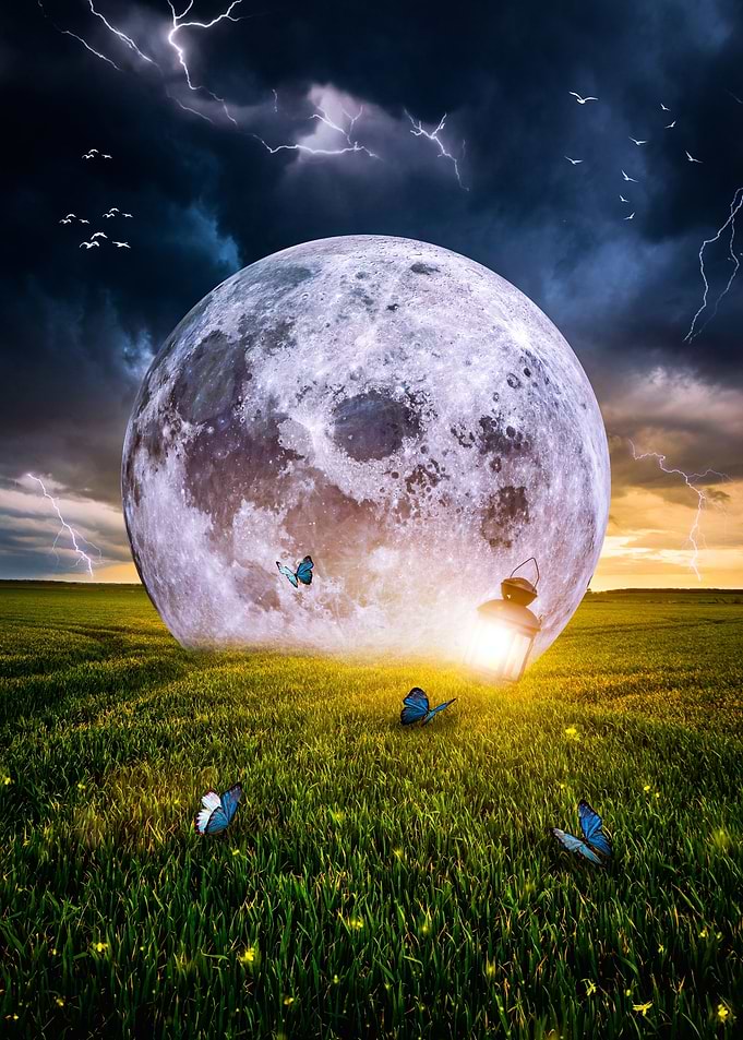 Moon Lantern Butterflies