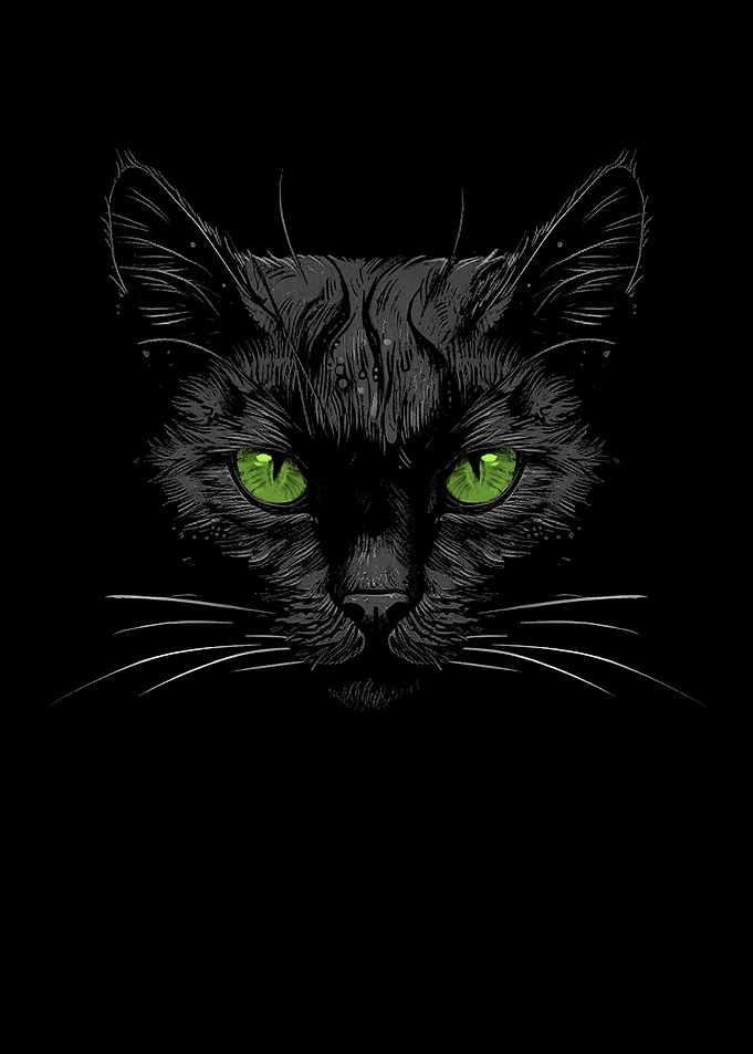 Black Cat Green Eyes
