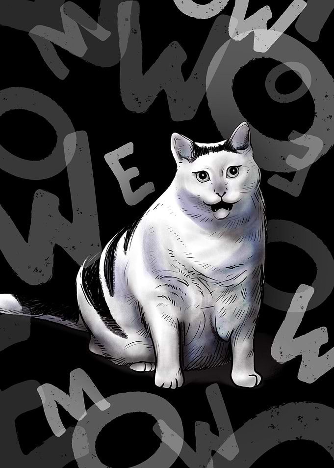 Polite Cat Meme