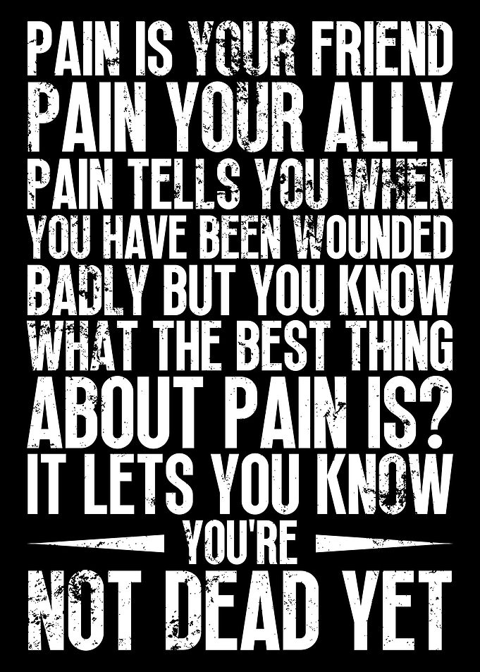 Samurai Quotes Pain