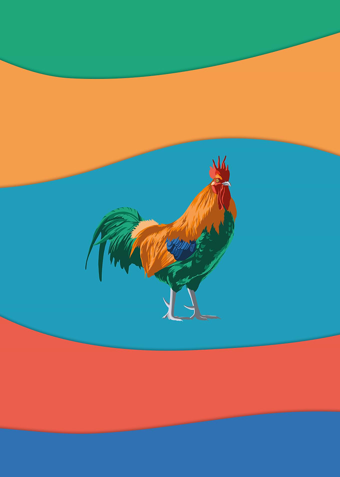 Red junglefowl rooster