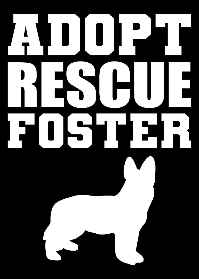 Adopt Rescue Foster Animal