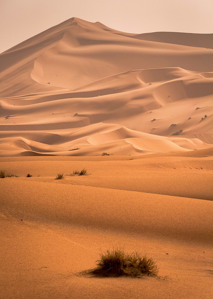 Desert photography