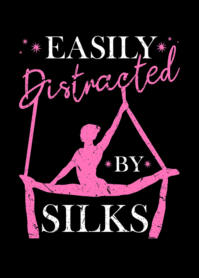 Yoga Silks Aerialist Gift