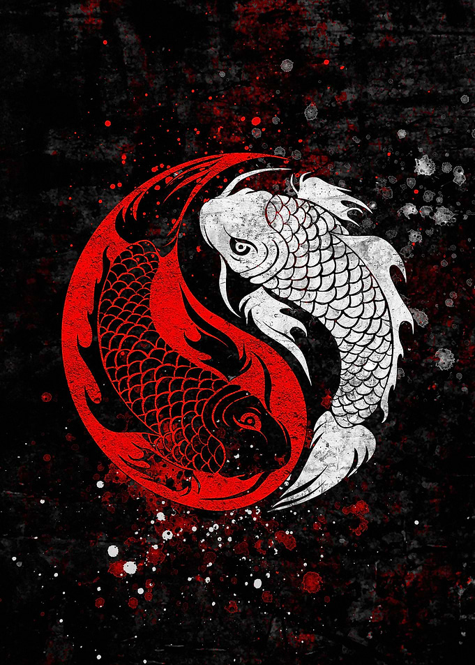Koi Fish Yin yang japan