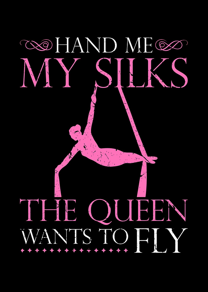 Aerial Silk Dancer Gift