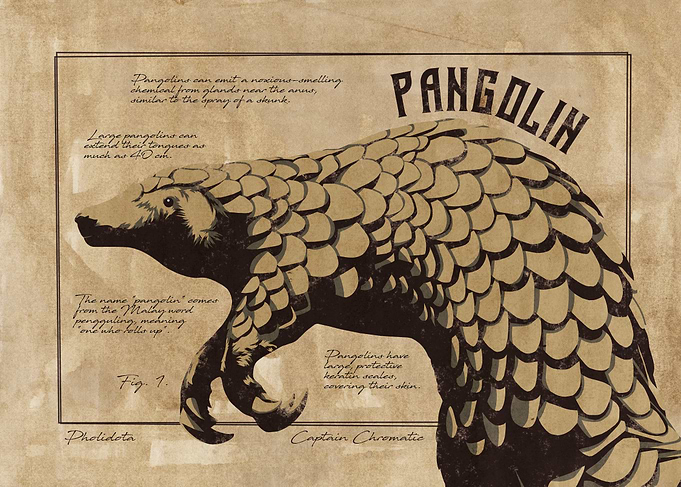 Pangolin