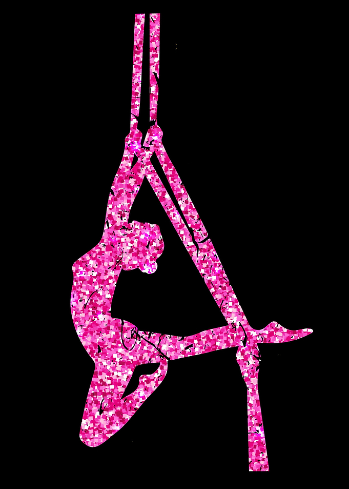 Aerial Silk Yoga Women