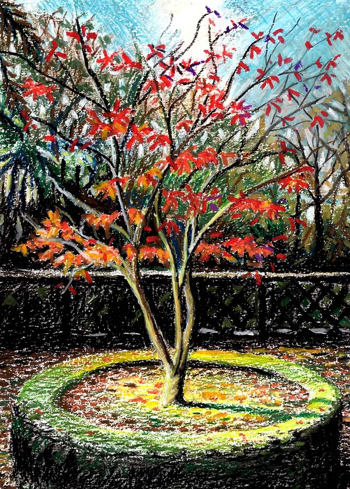 The coming of Autumn