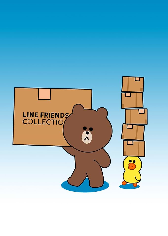bear brown cute animal