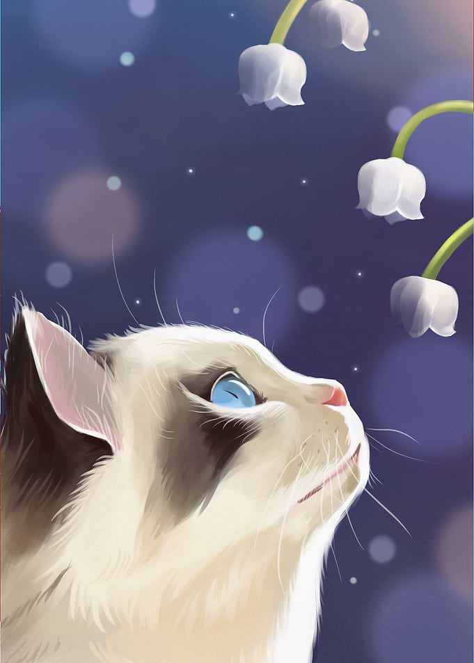 Cat Hope