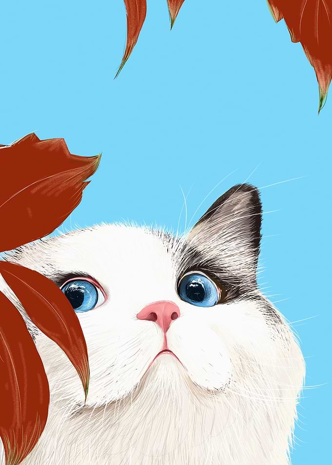 Aesthetic Cat