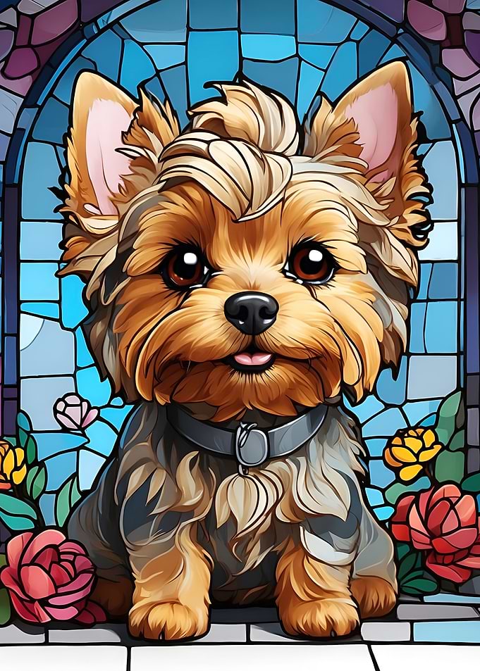 Yorkshire Terrier