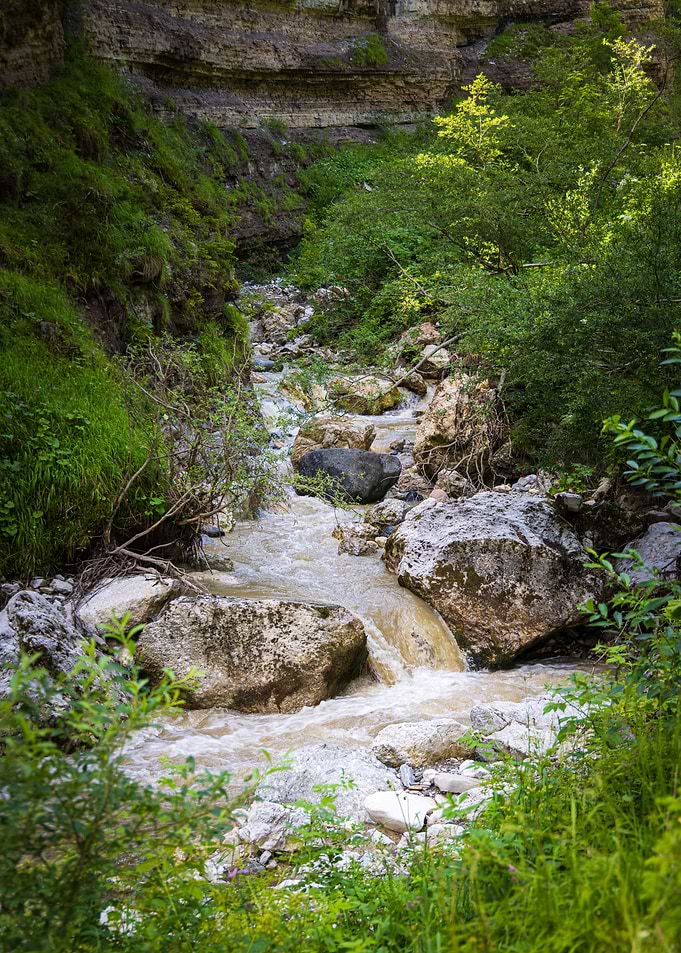 A torrent in the forest