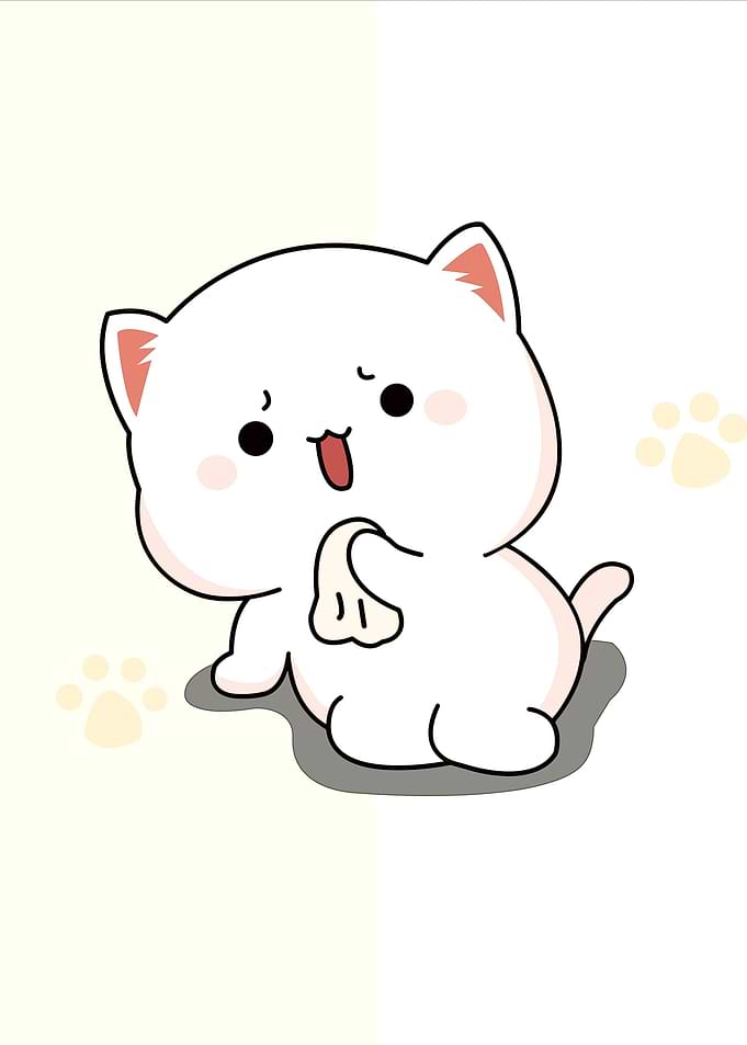 bear cute animal