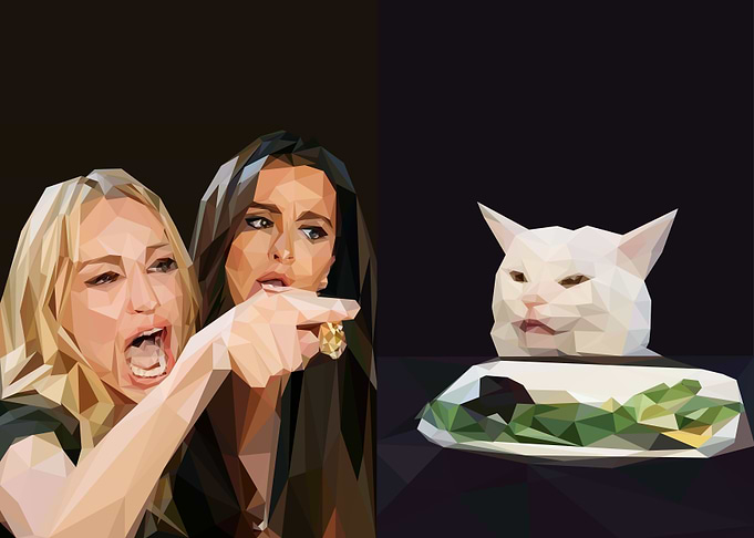 woman yelling at cat meme