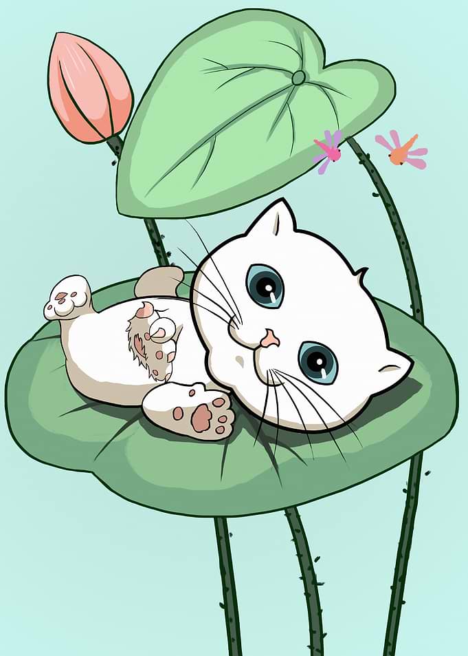 Cute Cat