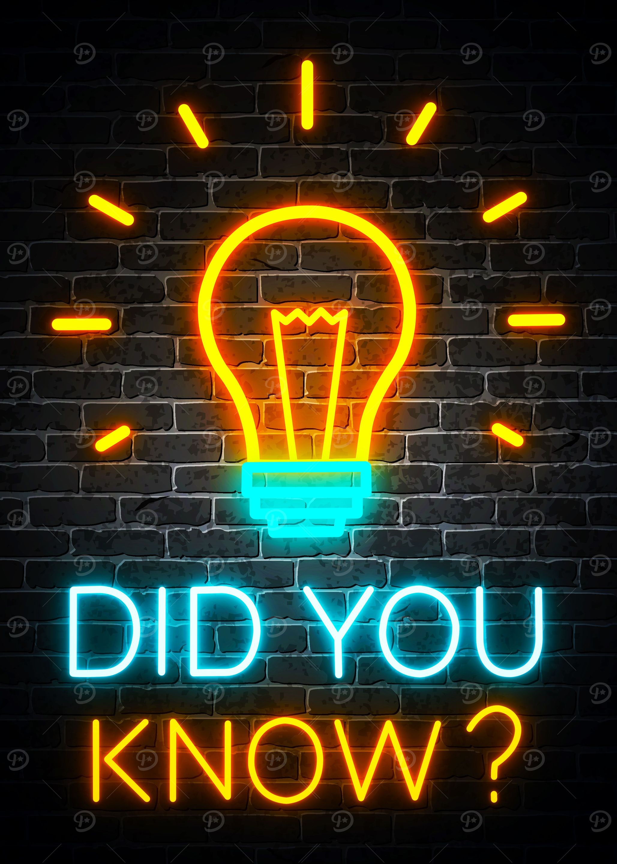 neon did you know