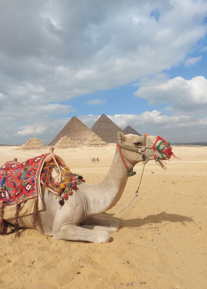 Egyptian Heritage