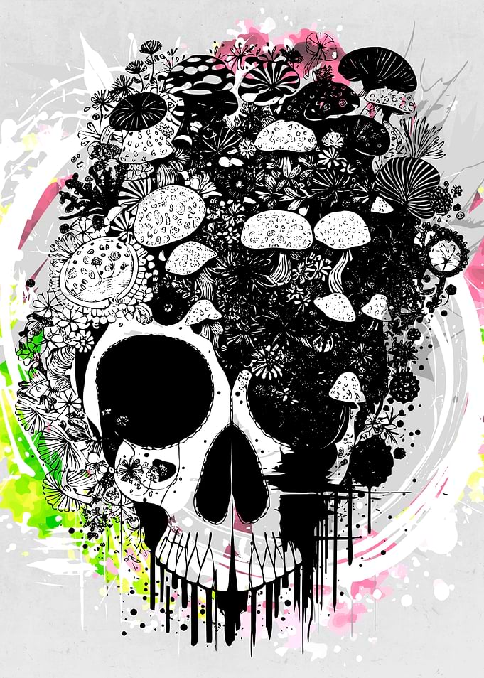 Psychedelic Visions