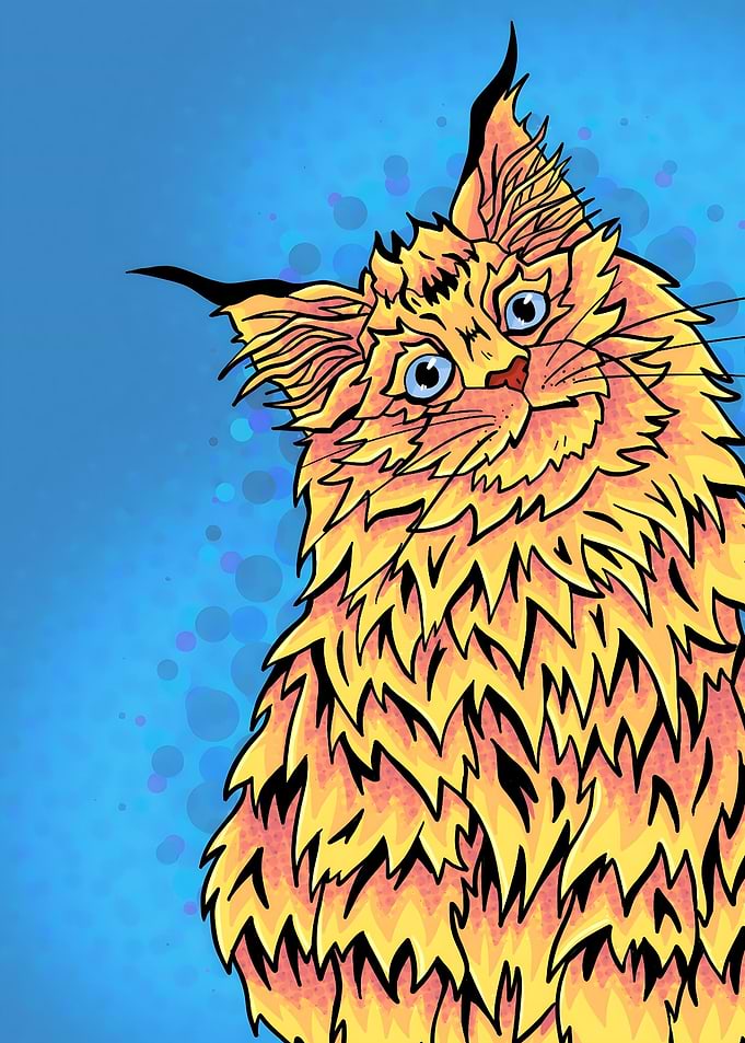 Yellow curious cat