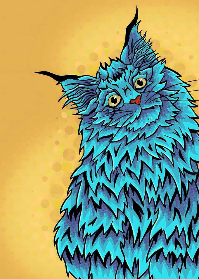 Light blue curious cat