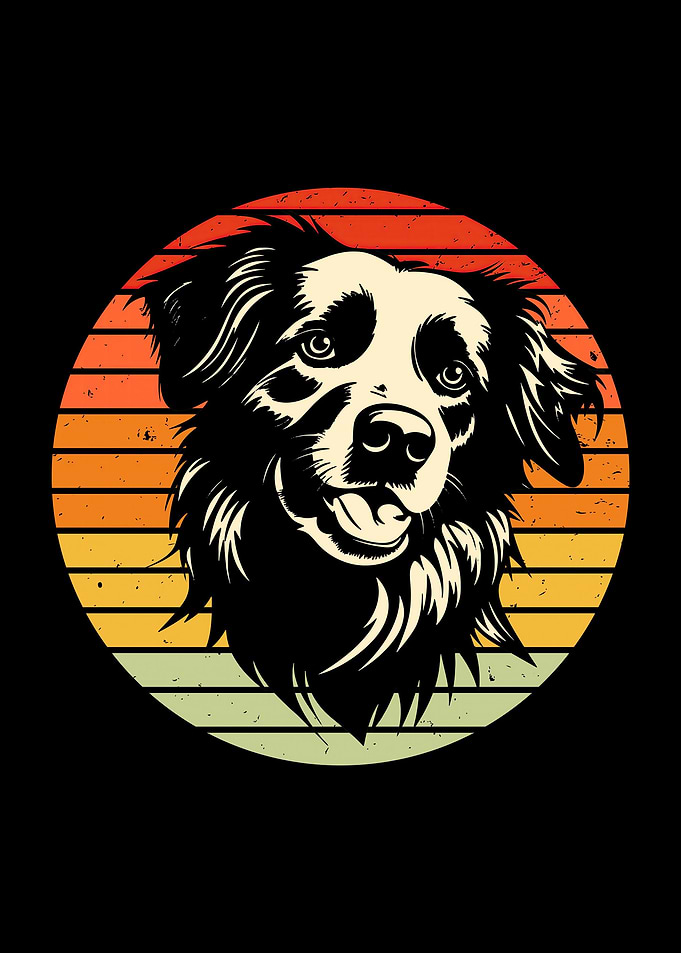 Animal Dog funny