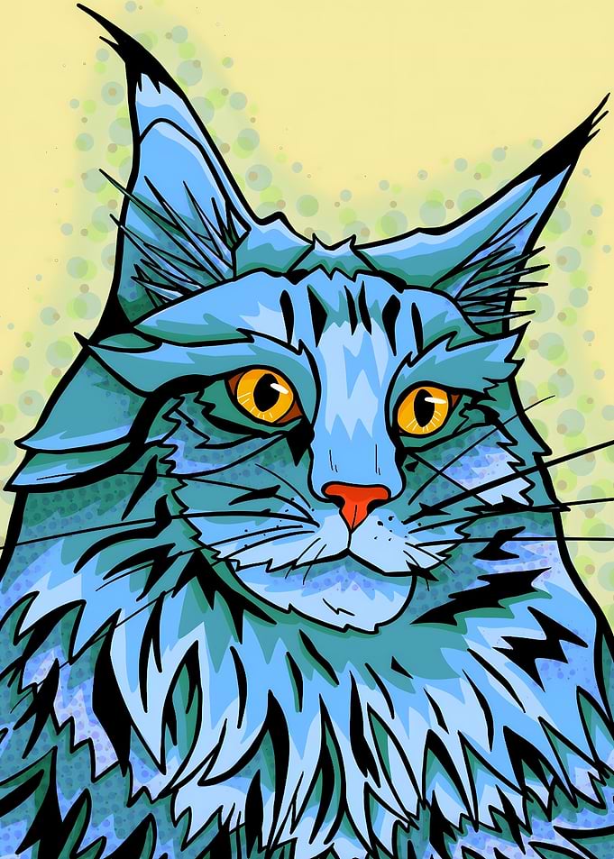 Handsome blue maine coon