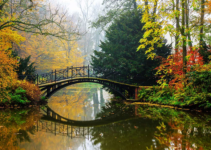 misty autumn landscape